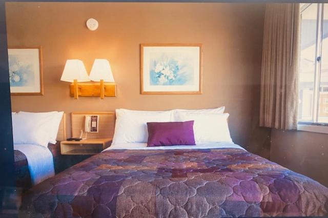 Heart O' Chicago Motel Eksteriør bilde